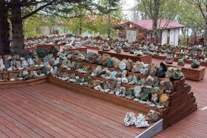 Government Museum Krishnagiri