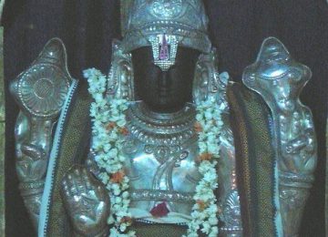 Loganathaperumal, Thirukannangudi, Nagapattinam.