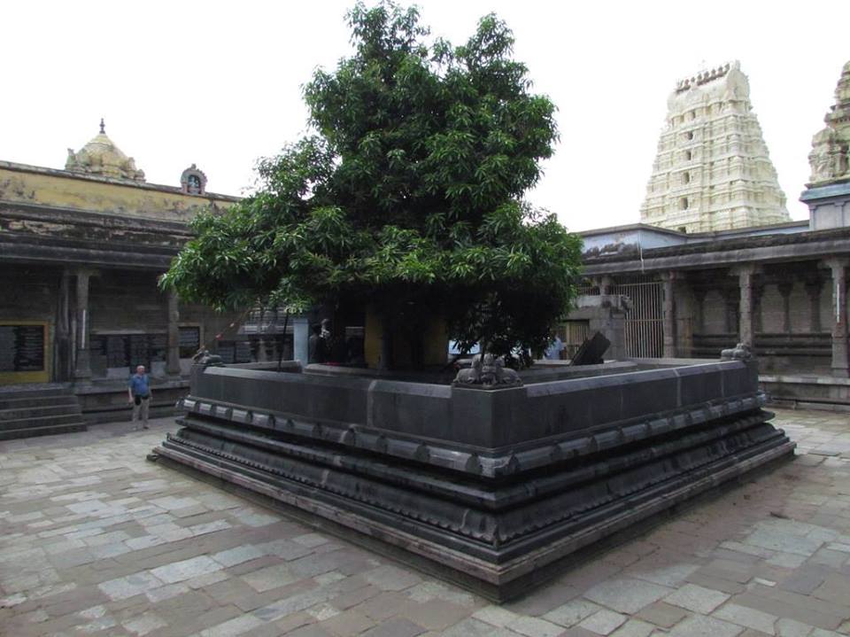 Sri Kalva Perumal temple, Kanchipuram