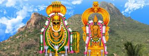 Thiruvannamalai Mahakumbabhishekam 2017